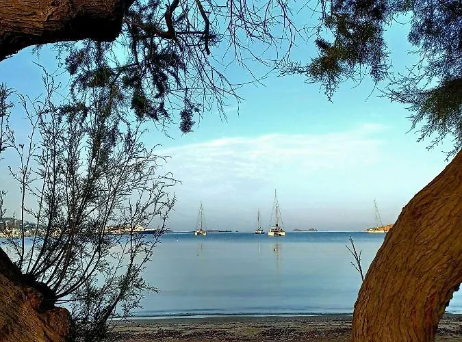 Bonzoe #4 Apartamento